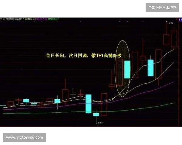 揭开精灵传说的神秘面纱 揭示10个鲜为人知的秘密与真相