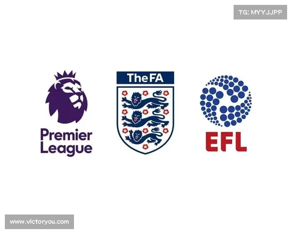 全面解析英冠联赛的比赛形式与规则助你轻松看懂英伦绿茵争锋